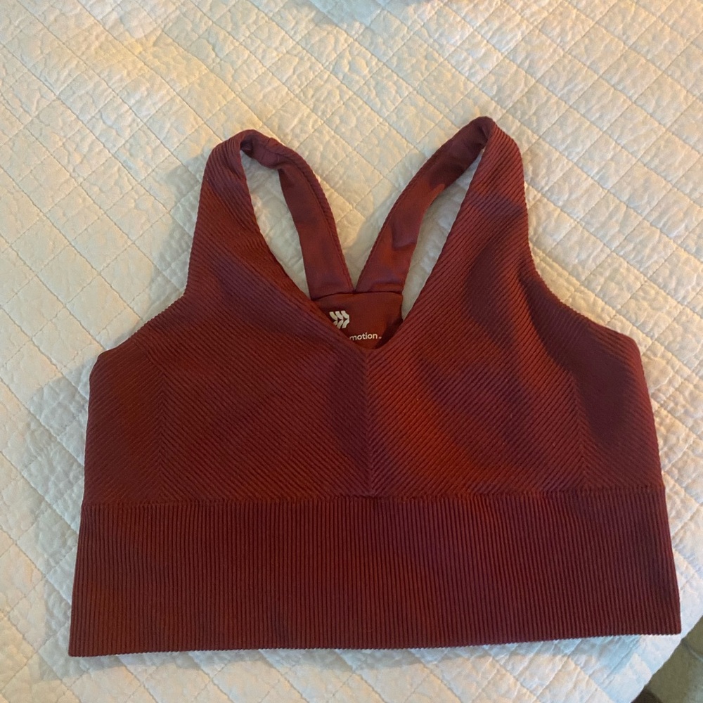 All in Motion Burgundy Sports Bra